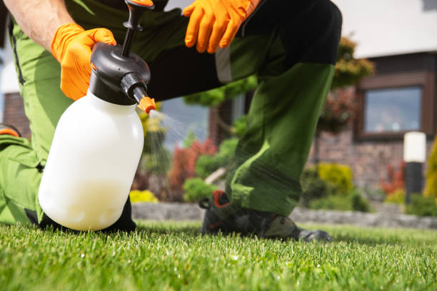 Best Pest Control for Restaurants  in Eagleton Village, TN