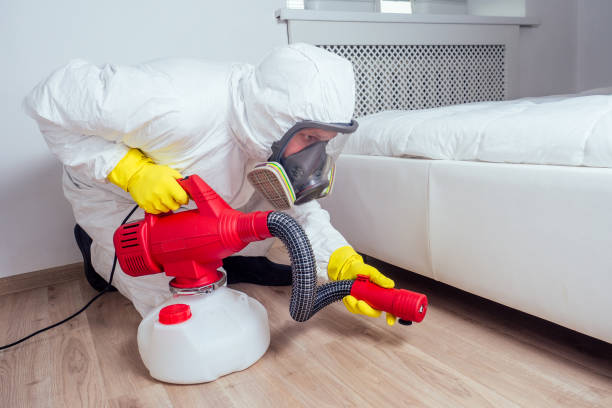 Best Local Pest Control Services  in Eagleton Village, TN