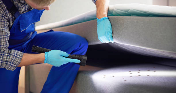 Best Exterminator Services  in Eagleton Village, TN