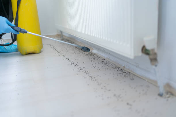 Best Affordable Pest Control Services  in Eagleton Village, TN