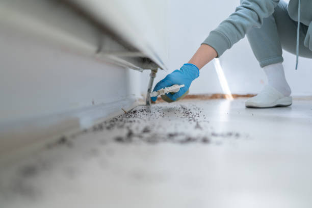 Pest Control for Restaurants in Eagleton Village, TN