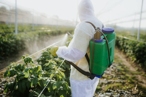 Best Mosquito Control Services  in Eagleton Village, TN
